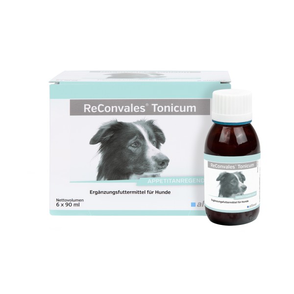 ReConvales Tonicum Hund 6 x 90 ml