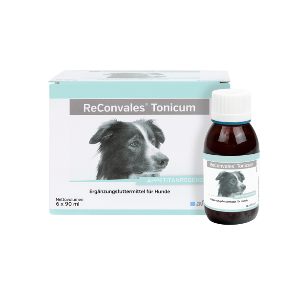 ReConvales Tonicum Hund 6 x 90 ml